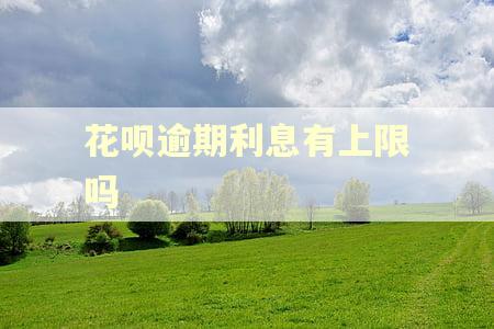 花呗逾期利息有上限吗