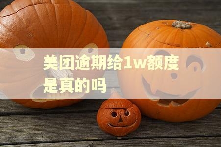 美团逾期给1w额度是真的吗 美团逾期给1w额度是真的吗
