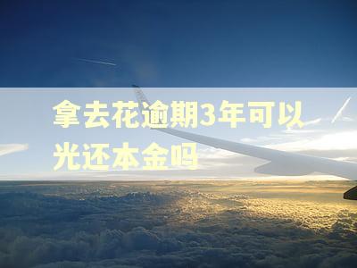 拿去花逾期3年可以光还本金吗