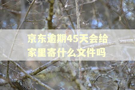 京东逾期45天会给家里寄什么文件吗