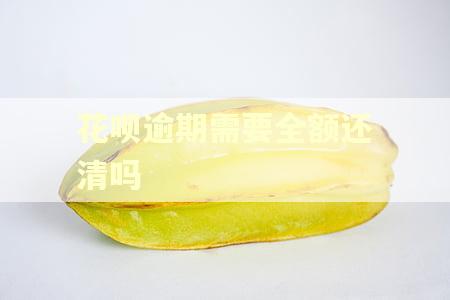花呗逾期需要全额还清吗