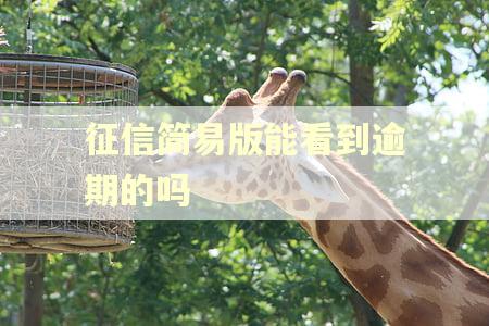 征信简易版能看到逾期的吗