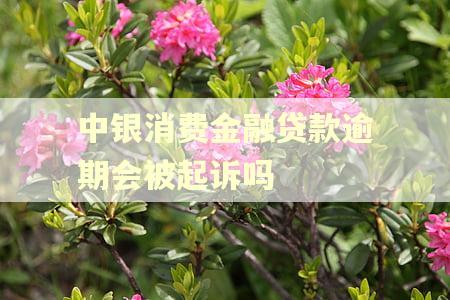 中银消费金融贷款逾期会被起诉吗