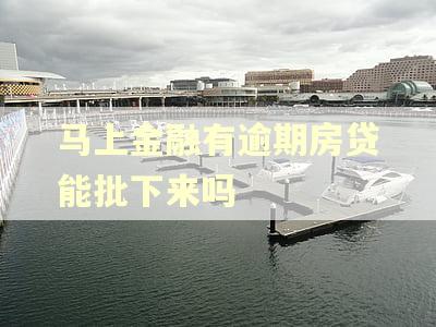 马上金融有逾期房贷能批下来吗