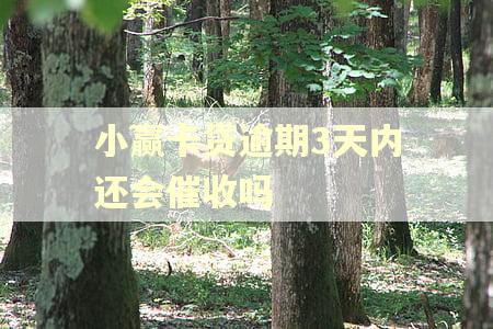 小赢卡贷逾期3天内还会催收吗 小赢卡贷逾期3天内还会催收吗