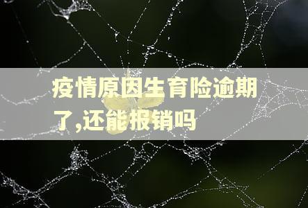 疫情原因生育险逾期了,还能报销吗