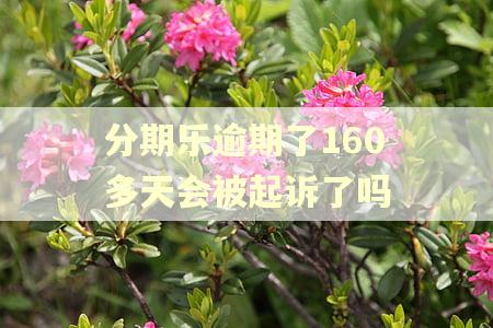 分期乐逾期了160多天会被起诉了吗
