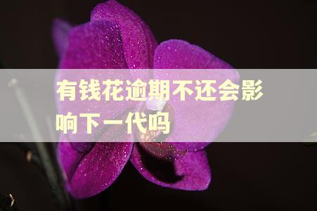 有钱花逾期不还会影响下一代吗 有钱花逾期不还会影响下一代吗