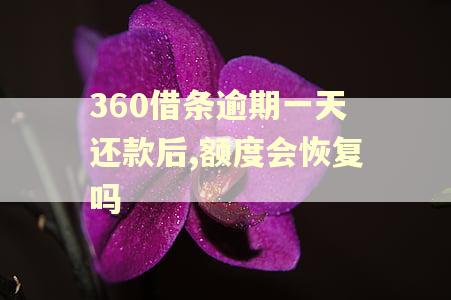 360借条逾期一天还款后,额度会恢复吗