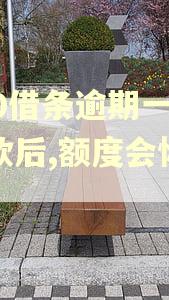 360借条逾期一天还款后,额度会恢复吗