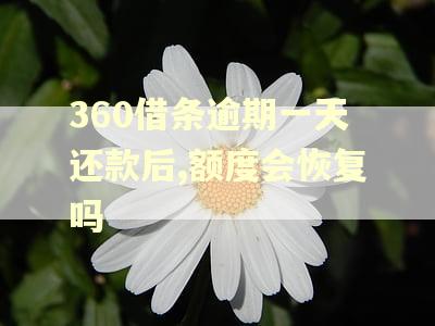 360借条逾期一天还款后,额度会恢复吗