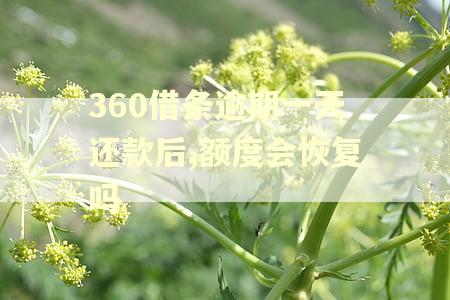 360借条逾期一天还款后,额度会恢复吗 360借条逾期一天还款后,额度会恢复吗