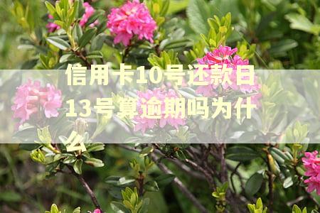 信用卡10号还款日13号算逾期吗为什么