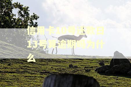 信用卡10号还款日13号算逾期吗为什么