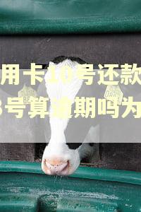 信用卡10号还款日13号算逾期吗为什么