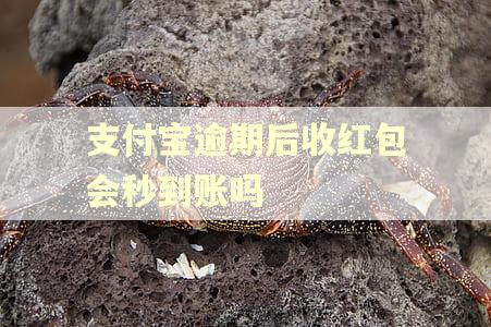 支付宝逾期后收红包会秒到账吗
