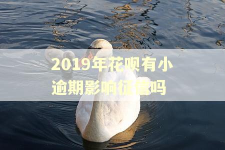 2019年花呗有小逾期影响征信吗