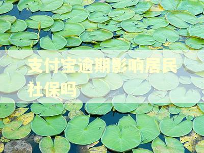 支付宝逾期影响居民社保吗