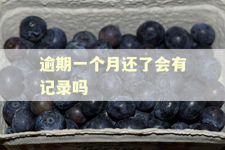 逾期一个月还了会有记录吗