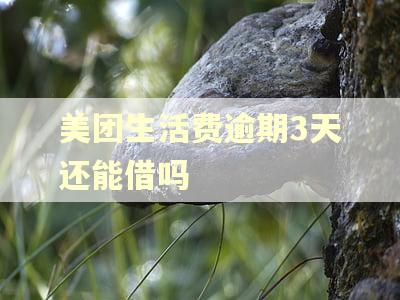 美团生活费逾期3天还能借吗 美团生活费逾期3天还能借吗