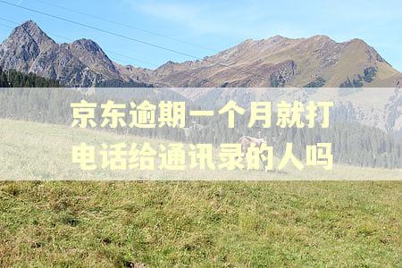 京东逾期一个月就打电话给通讯录的人吗