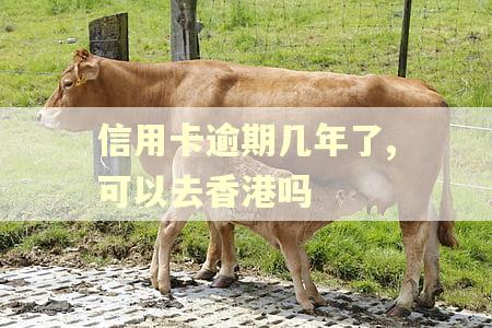 信用卡逾期几年了,可以去香港吗