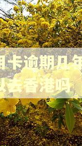 信用卡逾期几年了,可以去香港吗