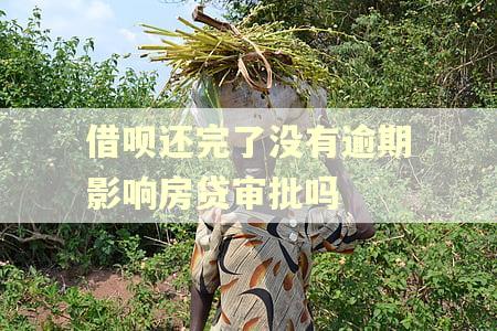 借呗还完了没有逾期影响房贷审批吗