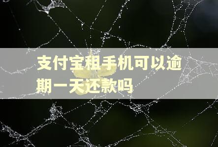 支付宝租手机可以逾期一天还款吗 支付宝租手机可以逾期一天还款吗