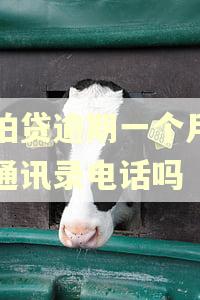 拍拍贷逾期一个月会打通讯录电话吗