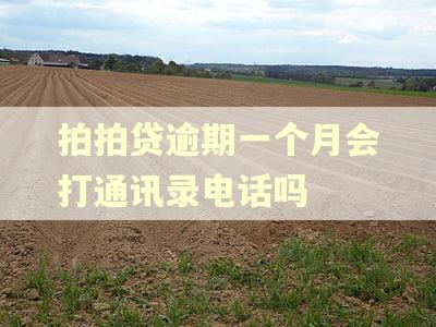 拍拍贷逾期一个月会打通讯录电话吗