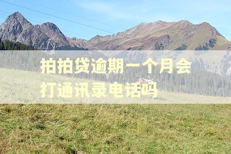 拍拍贷逾期一个月会打通讯录电话吗