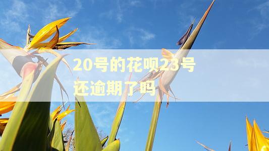 20号的花呗23号还逾期了吗