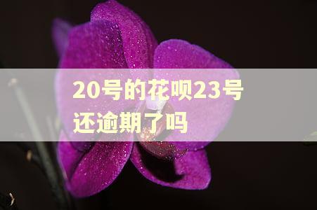 20号的花呗23号还逾期了吗