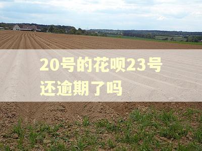20号的花呗23号还逾期了吗