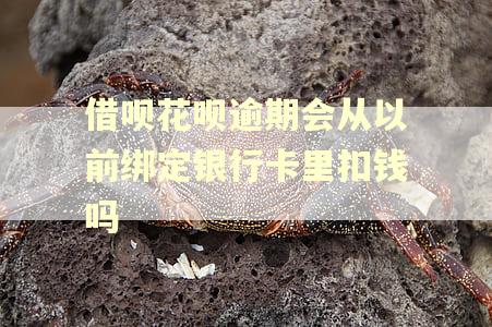 借呗花呗逾期会从以前绑定银行卡里扣钱吗
