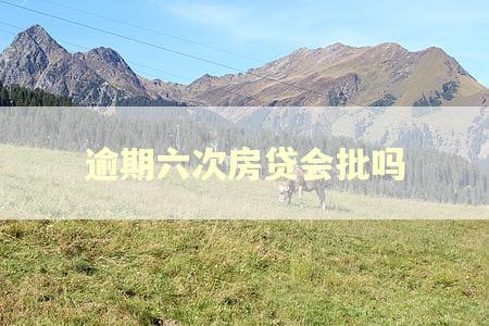 逾期六次房贷会批吗