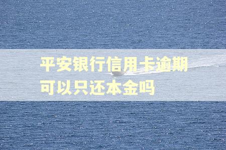 平安银行信用卡逾期可以只还本金吗