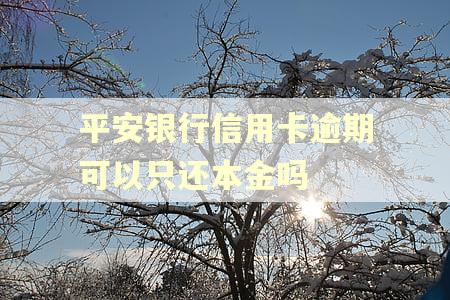 平安银行信用卡逾期可以只还本金吗