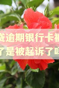 网贷逾期银行卡被冻结了是被起诉了吗