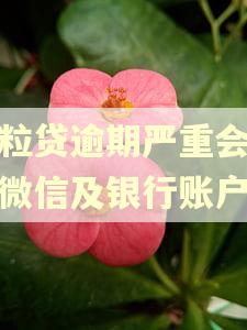 微粒贷逾期严重会被封微信及银行账户吗