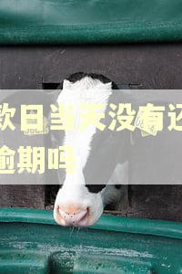 还款日当天没有还款算逾期吗