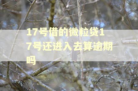 17号借的微粒贷17号还进入去算逾期吗