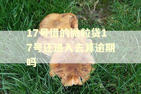 17号借的微粒贷17号还进入去算逾期吗