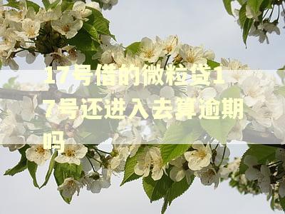 17号借的微粒贷17号还进入去算逾期吗
