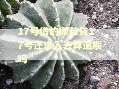 17号借的微粒贷17号还进入去算逾期吗 17号借的微粒贷17号还进入去算逾期吗