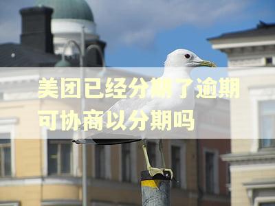 美团已经分期了逾期可协商以分期吗