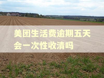 美团生活费逾期五天会一次性收清吗 美团生活费逾期五天会一次性收清吗