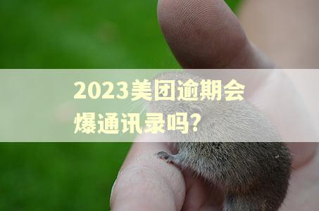 2023美团逾期会爆通讯录吗?