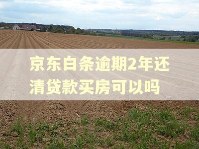 京东白条逾期2年还清贷款买房可以吗